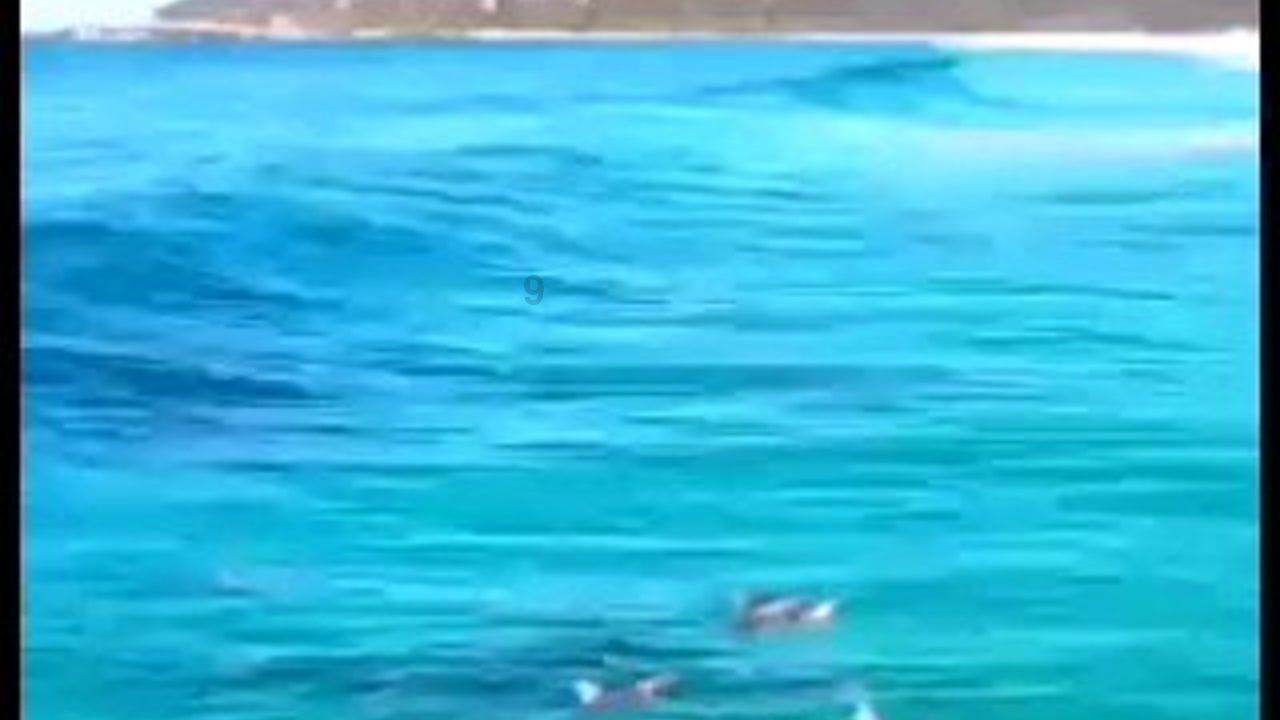 唤醒沉睡的大头
